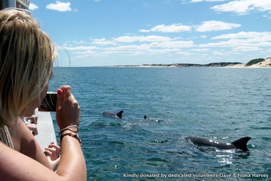 Woman taking photo of swimming dolphin