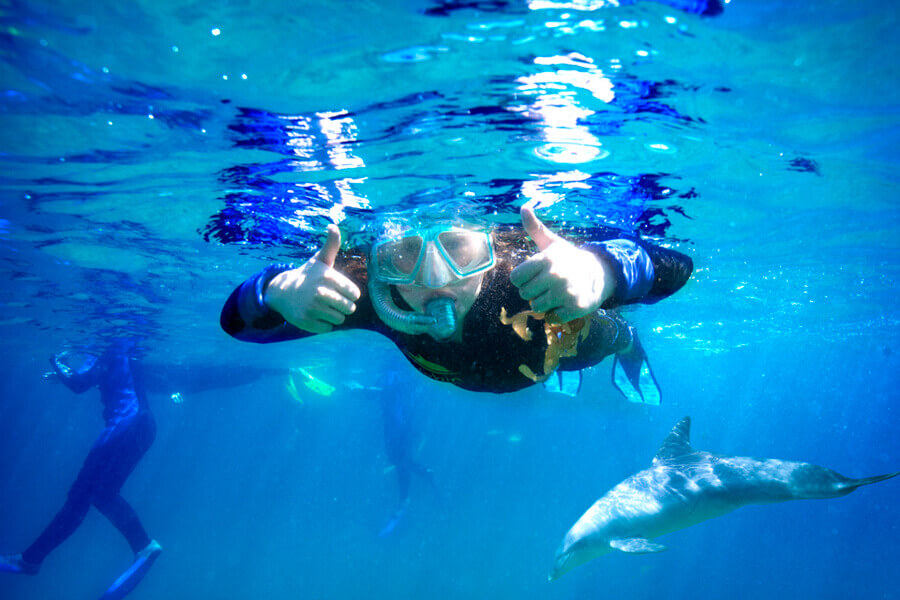 Person givinng thumbs up while snorkelling with dolphins